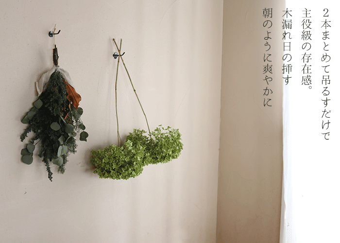ドライフラワー アナベル枝つき アジサイ あじさい 国産ドライフラワー 花材 リース 手作り インテリア ナチュラル 材料 素材 適当な価格