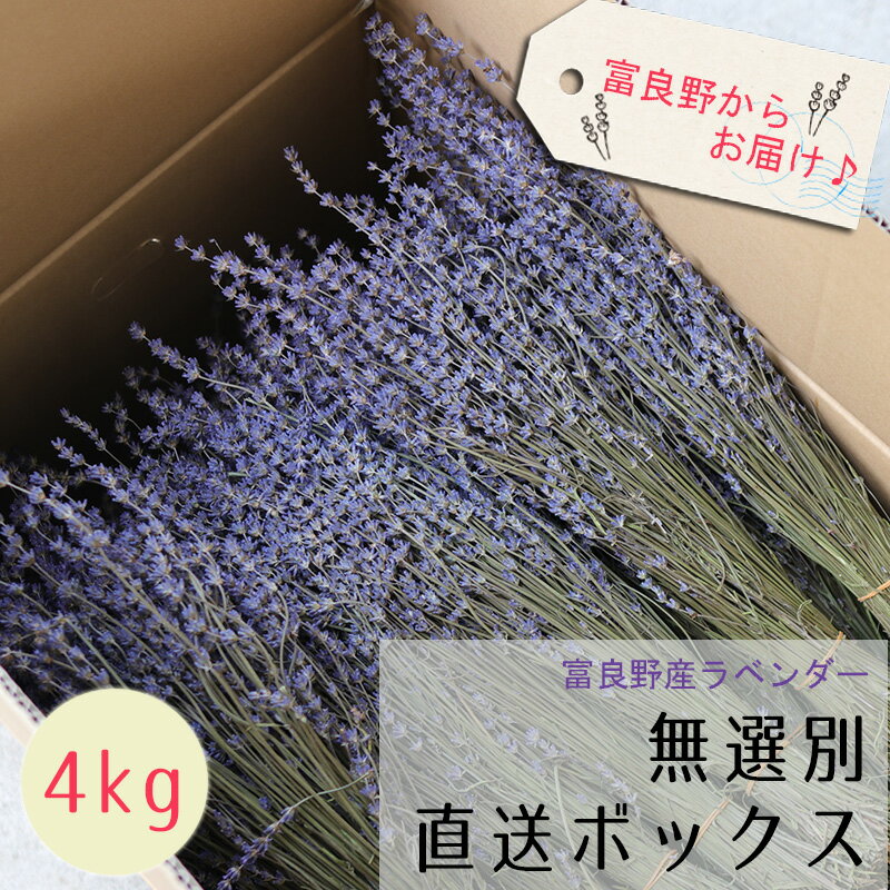 楽天ドライフラワー雑貨・花七曜【産地直送 業務用 】富良野産ラベンダー4号 おかむらさき ドライフラワー 4kg【無選別お得な箱売り】 丘紫 / 北海道産 花材 素材 材料 インテリア アロマ リース アレンジメント インテリア 店舗 ディスプレイ パープル