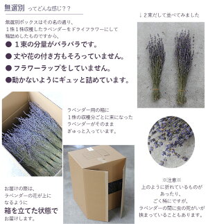 【産地直送・業務用】富良野産ラベンダー4号おかむらさきドライフラワー4kg【無選別お得な箱売り】丘紫/北海道産花材素材材料インテリアアロマリースアレンジメントインテリア店舗ディスプレイパープル