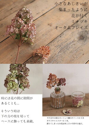 【Lサイズ】アジサイミナヅキ枝付きオータムフレイズ/あじさいピラミッドアジサイノリウツギ/国産ドライフラワー花材リース手作り材料素材ナチュラルインテリア