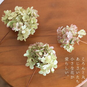 ミナヅキオータムフレイズヘッド【少量パック】/ドライフラワー花材リース手作り国産材料素材ナチュラルインテリアディスプレイあじさい