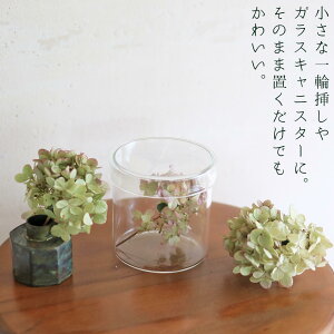 ミナヅキオータムフレイズヘッド【少量パック】/ドライフラワー花材リース手作り国産材料素材ナチュラルインテリアディスプレイあじさい