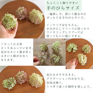 ミナヅキオータムフレイズヘッド【少量パック】/ドライフラワー花材リース手作り国産材料素材ナチュラルインテリアディスプレイあじさい