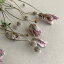 【ドライフラワー】シュウメイギク ◆ 秋牡丹 貴船菊 秋明菊 ◆ クレマチスのようなたおやかな花姿がかわいい一輪挿しにぴったりおしゃれなドライフラワー / 北海道産 ドライフラワー ボタニカル ナチュラル ディスプレイ インテリア