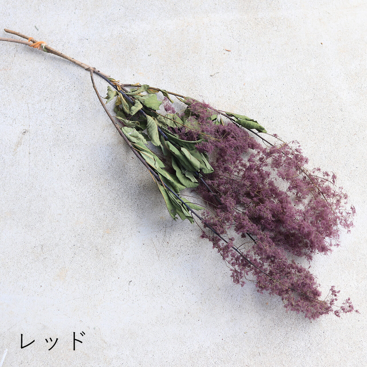 存在感たっぷり ディスプレイにおすすめな大枝のスモークツリー ふわふわかわいい秋冬のインテリアにおすすめドライフラワー ナチュラル ボタニカルなお部屋に スモークツリー ロング 1 2本 モーヴ グリーン レッド ドライフラワー 花材 リース 手作り 国産 材料 素材