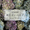 ドライフラワー あじさい ヘッド（アジサイヘッド）/北海道産 ドライフラワー ブルー グリーン 系 ドライフラワー アジサイ / ナチュラルインテリアに＊グラデーションがきれい 水色 秋色あじさい