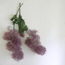 【約丈45cm】スモークツリー レッド 系 Lサイズ * ドライフラワー インテリア ナチュラル ディスプレイ 花材 リース 手作り 国産 材料 素材 アンティ...