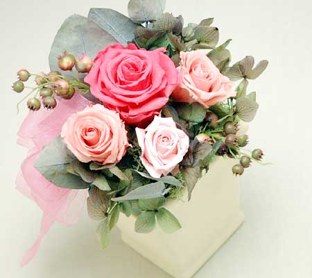 大人のピンクアンジェロゼ◆プリザーブドフラワー