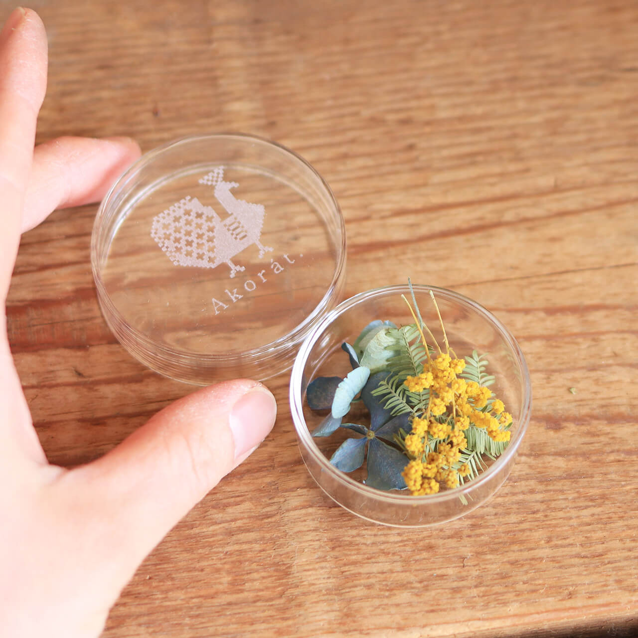 2インチシャーレ ピーコック / レトロ ボタニカル アンティーク調 ナチュラル インテリア ディスプレイ..