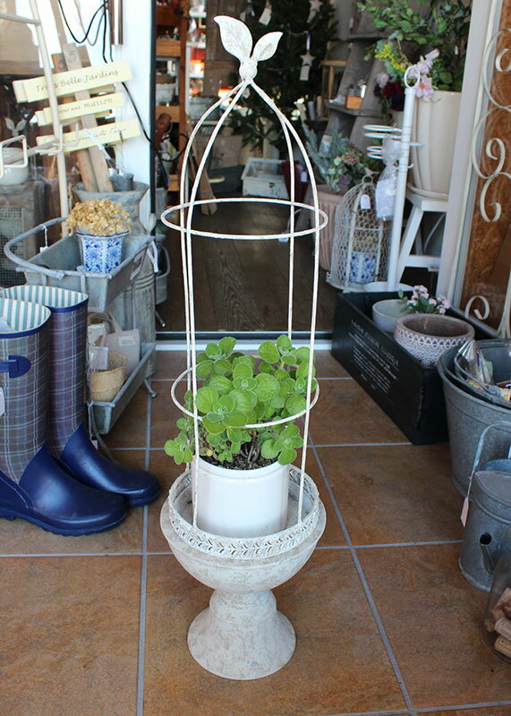 ケージスタンドL