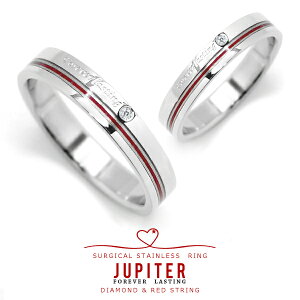 ジュピター 指輪 リング 送料無料 サージカルステンレスリング 天然ダイヤモンド入り ペアで持てるRING JUPITER ジュピター 316L 金属アレルギー 安心 ペアに 細い 可愛い かわいい おしゃれ サージカル ステンレス プチプラ シンプル バレンタイン ファッションリング