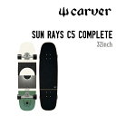 CARVER SKATEBOARD カーバー スケートボ