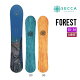 SECCA ZbJ 23-24 FOREST tHXg 2023-2024 fB[X Xm{ Xm[{[h