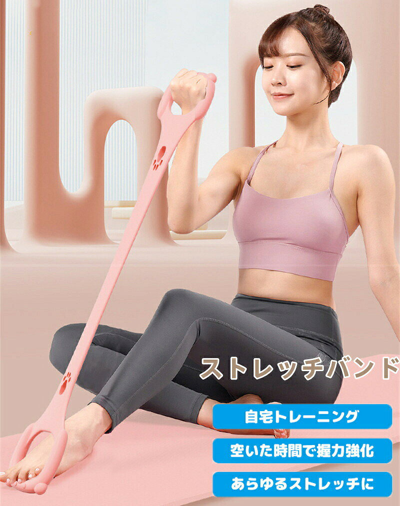 ストレッチバンド フィットネスバンド エクササイズ チューブ エキスパンダー 肩こり防止用 肩甲骨 背筋 最適 超高弾性 水洗い可能 姿勢矯正 筋力増強 猫背 矯正 自宅 ダイエット エクササイズ筋力