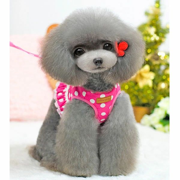 犬 犬用 ハーネス 犬具 胴輪 リードセット 散歩 水玉 ドット おしゃれ かわいい 犬...