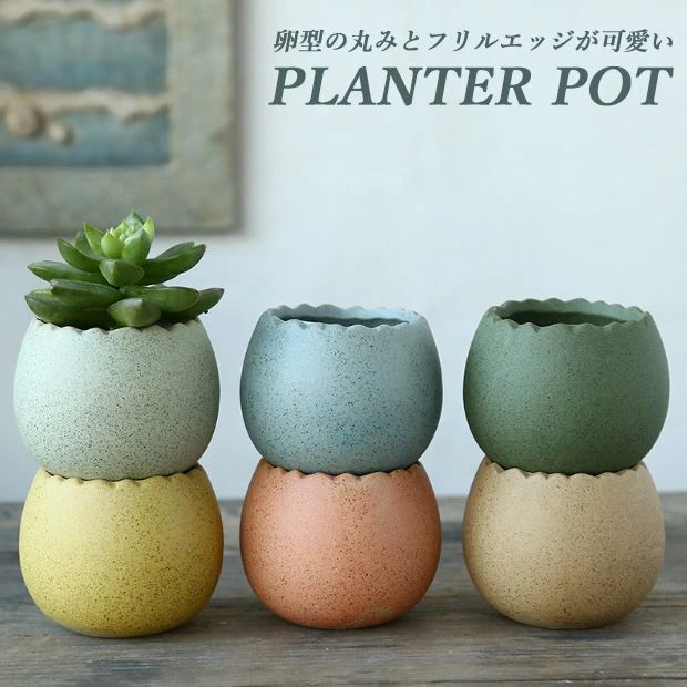 送料無料 植木鉢 6点セット マット質感 卵型 ミニ シンプル プランター 多肉植物 ...