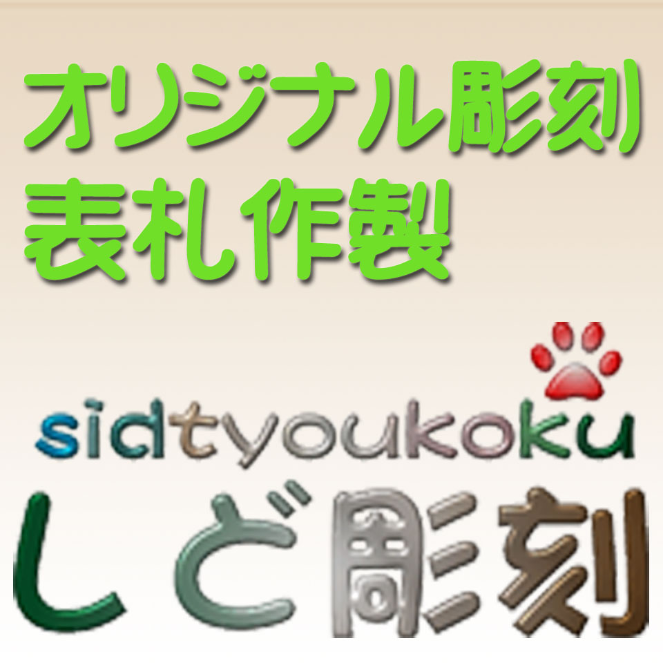 logo1.jpg