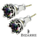【ポイント5倍!最大1500円OFFクーポン 5/6まで】 ビザール BIZARRE プレシャス クラウン シルバー ピアス アクセサリー 2個売り 両耳用 ペ...