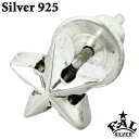【ポイント5倍 30日限り!】 エフエーエル F.A.L FAL シルバー ピアス アクセサリー メンズ レディース ゴシックスターS FA-PE-0044