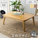 【ポイント2倍!27日まで】 こたつ テーブル 北欧 北欧デザインこたつテーブル 120x75cm 長方形 おしゃれ コタツ 炬燵 あったか かわいい ナチュラ...