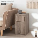 木製 プッシュ式 ダストボックス Empro エンプロー 幅25x奥行き30x高さ48cm 分別 ダストボックス ゴミ箱 省スペース プッシュ式 前扉 DB-480