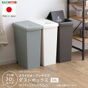 スライド オープン タイプ ゴミ箱30L ダストボックス ごみ箱 キッチン 生ごみ 蓋つき 両開き 折り畳みペダル 袋留め付き キャスター付き ロック機能付き 家具 引越し 新生活 SH-01-SLP30