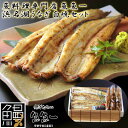 【ポイント5倍!最大1500円OFFクーポン 5/6まで】 最高級 浜名湖うなぎ 白焼セット 白焼x3 肝焼x3 たれx3 焼塩x3 わさびx3 粉山椒x3 ギ...