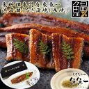 【ポイント5倍! 7/31まで! 】 最高級 浜名湖うなぎ蒲焼 長焼 蒲焼x1 たれx1 粉山椒x1 ギフト 魚魚一 冷蔵解凍後電子レンジ加熱したあと オーブントースター等で焦げ目が軽くつく程度に加熱して ご進物 ギフト 贈り物に