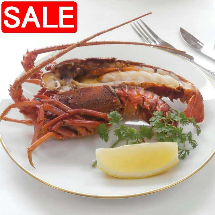【スーパーSALE 10%OFF!】 徳島 吟月 天然伊勢海老ステーキ 2切 原料130g〜150g 祝い事には欠かせない伊勢海老は 解凍するだけで召し上がれる...