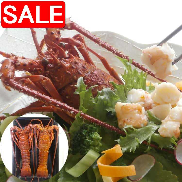 【スーパーSALE 10%OFF!】 徳島 吟月 伊勢海老の塩蒸し 新鮮なうちに まるごと贅沢に塩蒸しにしました 塩は徳島の天然塩 阿波乃華 使用 天然にこだわ...