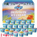 【ポイント5倍 マラソン期間中 】 沖縄 ブルーシールアイス 計24個 アイスクリーム 直営で人気のOKINAWANフレーバーとアメリカンフレーバーを詰め合わせたギフトセット商品です ご進物 ギフト 贈り物に 離島配送不可