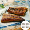 【ポイント5倍! 7/31まで! 】 静岡 静岡焼きうなぎ 120gx8 国産のうなぎをお茶とかつおダシ効かせた特製タレでじっくりと焼き上げました ご進物 ギフト 贈り物に 離島配送不可