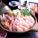 【ポイント5倍!最大1500円OFFクーポン 5/6まで】 玄海産 ふぐちり鍋 しろさばふぐ450g とらふぐひれ3枚 玄海産の新鮮なしろさばふぐの鍋セット 寒...
