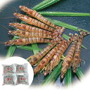 【ポイント5倍! 3日まで!】 熊本 沖縄 活鮮凍結 活き〆冷凍車海老 B 車海老x4パック (1パックに 5尾 計約100g入) 流水解凍すれば 冷凍前の活き物と同じ身質 鮮度で調理 おめしあがりできます お歳暮 お中元 お土産 ご進物 ギフト 7070002