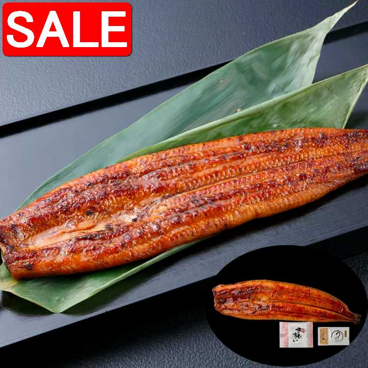 【スーパーSALE 10%OFF！】 うなぎ問屋の大五蒲焼 一人前 蒲焼x1尾 計120g 中までしっかり焼き込める遠..