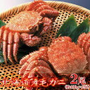【ポイント10倍! 30日まで! 】 絶品 毛がに 400gx2尾 北海道を代表する海の幸 一度食べたらやみつきになる美味しさで 濃厚ながら繊細な味わいの中にほ...