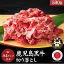 【ポイント5倍! 7/31まで! 】 鹿児島黒牛 A4ランク以上 切り落とし 500g とろけるような食感? 手土産 プレゼント ご進物 ギフト 贈り物に NK...