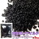 【ポイント5倍! 7/31まで! 】 ドライ ワイルド ブルーベリー 大容量 1kg 野生種 手土産 プレゼント ご進物 ギフト 贈り物に SM00010048