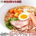 【スーパーセール10%OFF】【ゆうパケット出荷】老舗の 盛岡冷麺 4食 スープ付き 100gx4袋 本場名産品お歳暮 お中元 ご進物 ギフト 贈り物に最適 販売元より直送 SM00010380