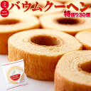 【ポイント5倍 マラソン期間中 】 ミニ バウムクーヘン 30個 15個 x2袋 素朴でどこか懐かしく優しい味わい 手土産 プレゼント ご進物 ギフト 贈り物に SM00010566