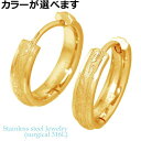 ステンレス ピアス アクセサリー 金属アレルギー対応 ハワイアンジュエリー フープ アレルギーフリー サージカルステンレス316L レディース メンズ 2個売り...