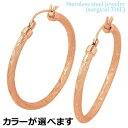 【ポイント5倍! マラソン期間】 ステンレス ピアス アクセサリー 金属アレルギー対応 ハワイアンジュエリー フープ アレルギーフリー サージカルステンレス31...