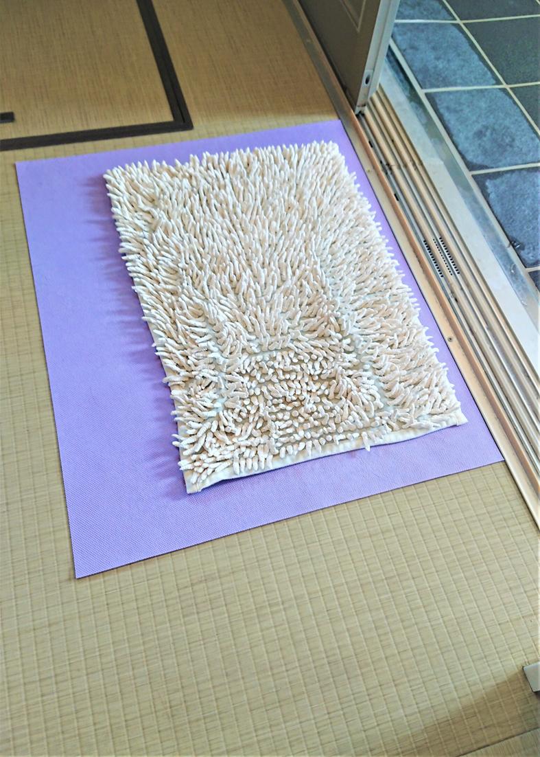 バスマット乾燥シート (除湿乾燥) 【50cm×80cm】×【1枚】【送料390円】 (乾燥再生防カビ) バスマット 吸水 珪藻土 珪藻土マット 速乾 大判 足ふきマット 風呂マット 滑り止め お洒落 パイル地 浴室マット 抗菌 ふわふわ 防ダニ 台所マット キッチンマット