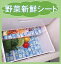 野菜新鮮シート×【3個】【送料390円】【野菜室に敷いて鮮度保持】(カットフリー22．5 ×63cm) 冷蔵庫 冷蔵庫シート 冷蔵庫ラック 食器棚シート 冷蔵庫脱臭剤 脱臭炭 消臭剤 冷蔵庫消臭剤 キッチンマット マット 冷凍庫 2ドア　1ドア 大型 開き 3ドア クリーナー