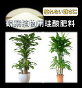 【珪酸分99%】 観葉植物の珪酸肥料 (2kg/40m2分)【送料780円】【液肥とまぜて活力アップ!根腐れ防止】 肥料 珪酸 ケイ酸肥料 根腐れ肥料 活力剤 植物活力剤 根腐れ防止 野菜の肥料 イチゴの肥料 イチゴ ポトスの肥料 ドラセラの肥料 バキラの肥料