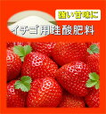 【珪酸分99％】　イチゴの珪酸肥料 (5kg/100m2分）【送料無料】 肥料 珪酸　ケイ酸肥料 根腐れ肥料 活力剤 植物活力剤 根腐れ防止 野菜の肥料 イチゴの肥料 イチゴ 豆類の肥料 トマトの肥料 キュウリの肥料 バラの活力剤