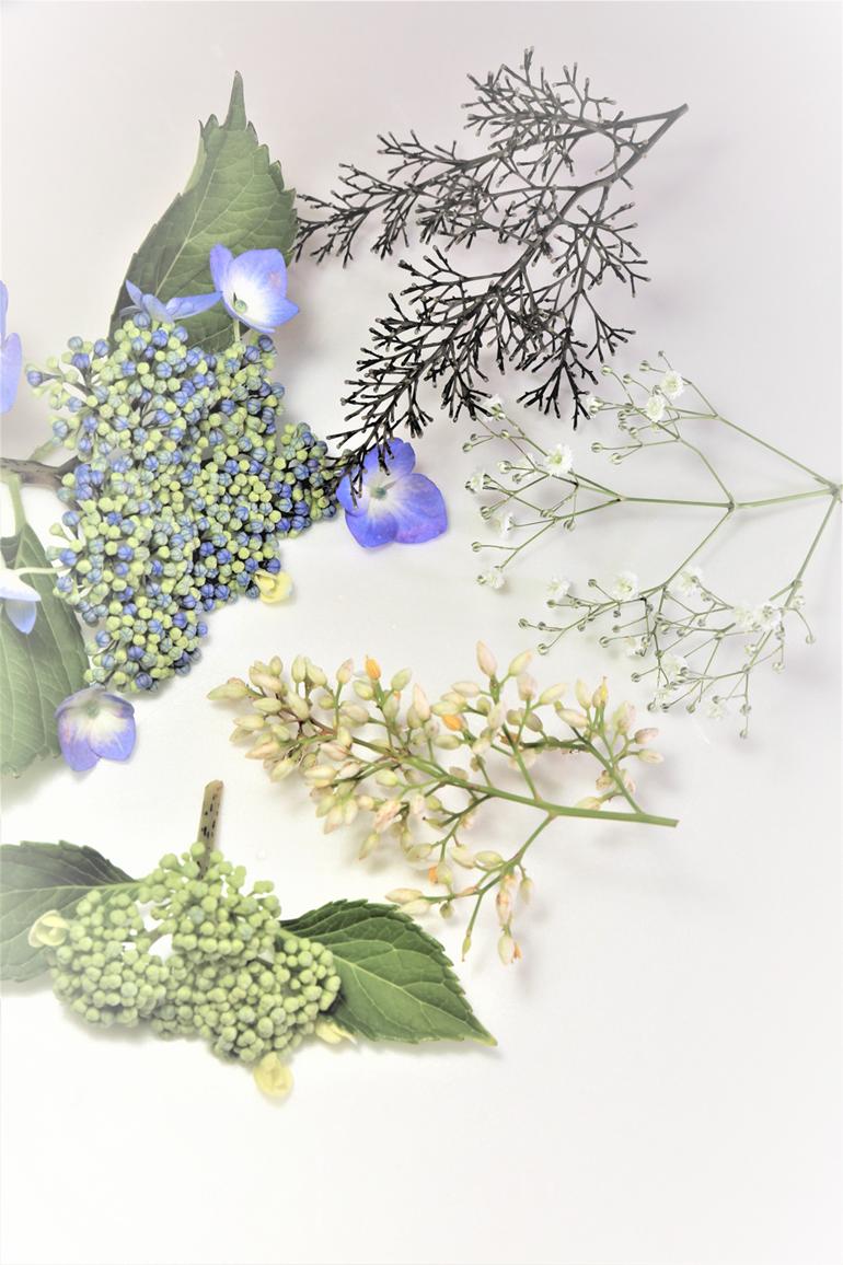 簡単 色あせない 押し花の作り方ガイド 長持ちする綺麗な押し花を作ろう 暮らし の