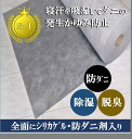 ベビーふとん用除湿シート(シリカゲル・防ダニ剤入)【70×100cm×【1枚】【送料200円】 ベビ ...