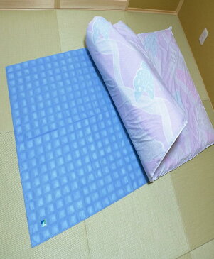 ふとんカラットさん(布団に敷いて湿気・臭いをとります)【100×99cm・厚み約3mm】×【5個】【送料780円】 ふとん用除湿シート ふとん用除湿マット 布団用 ふとん用 ふとん乾燥機 除湿シート 除湿剤 乾燥剤 押し入れシート 湿気とり スノコベッド 吸湿マット