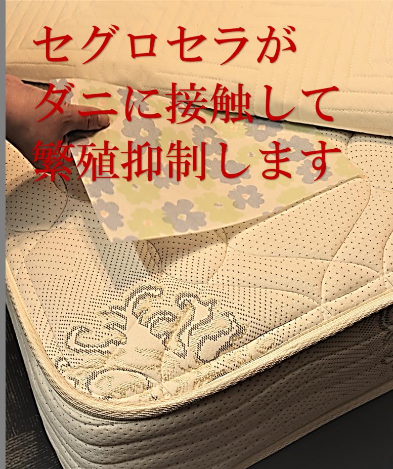 ダニシャット ( ダニシート ) (30cm×20cm)×【6枚セット】【送料220円】 (ダニがシ...